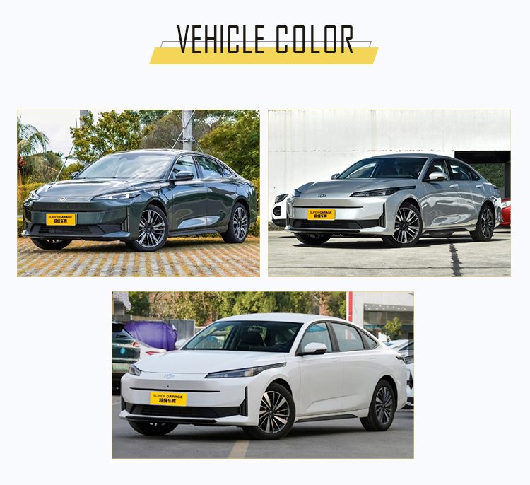 1737704600562778.jpg fotoğraf bankası (5).jpg