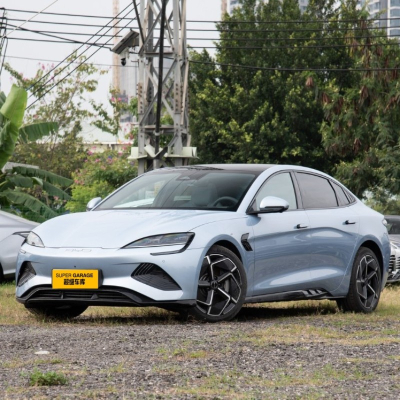 Печать BYD 2024