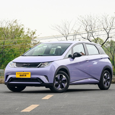 БИД Дельфин