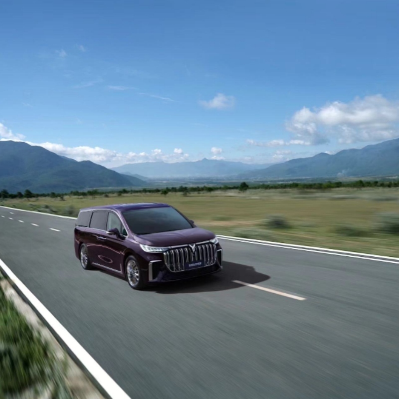 Voyah Dream PHEV EV 2024