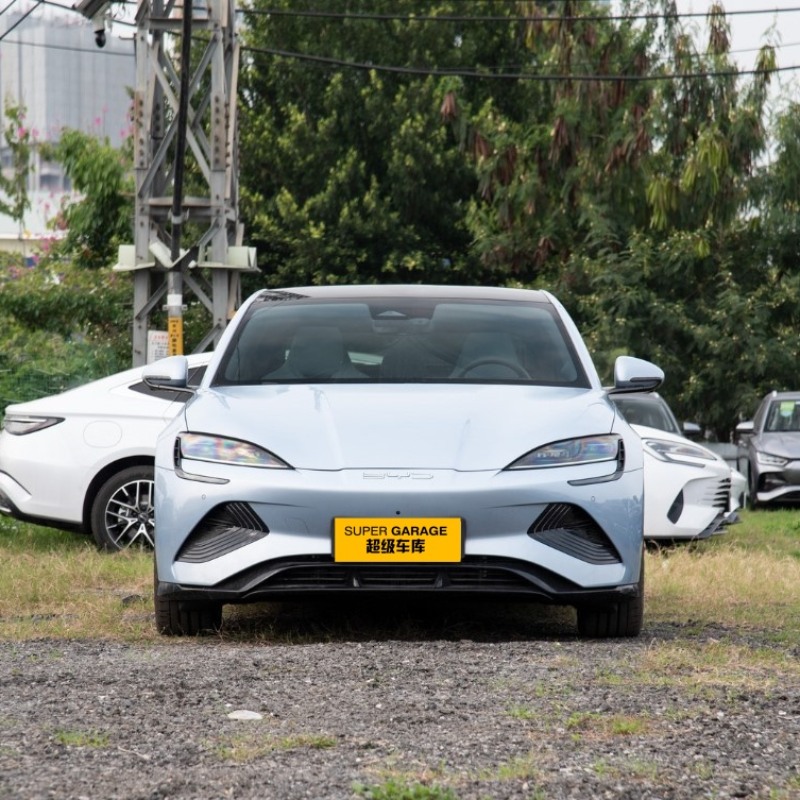 Печать BYD 2024 Печать BYD 2024