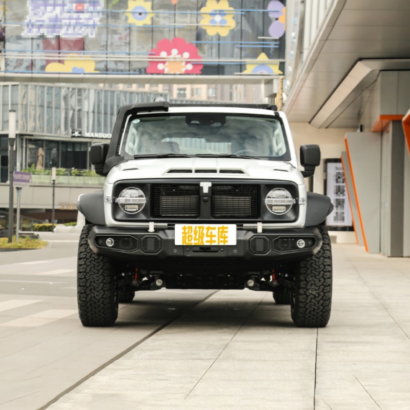 Танк 300 2023 г.