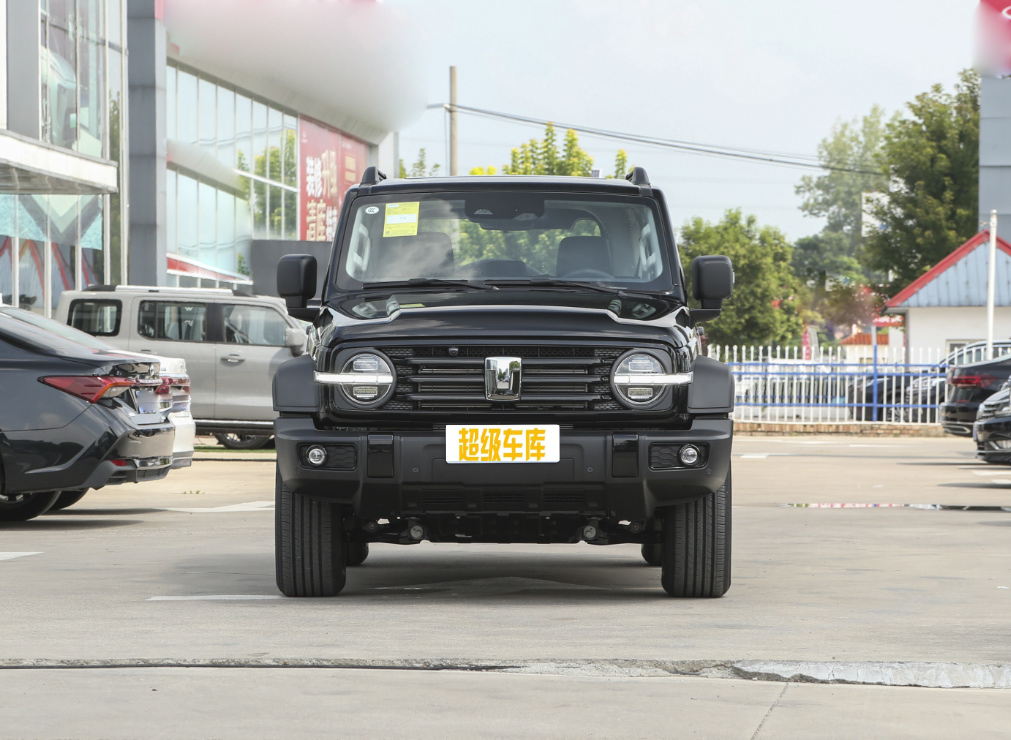 Экстерьер Экстерьер