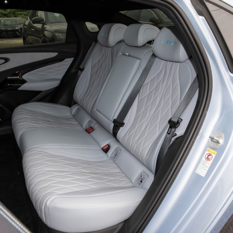 Печать BYD 2024 Печать BYD 2024